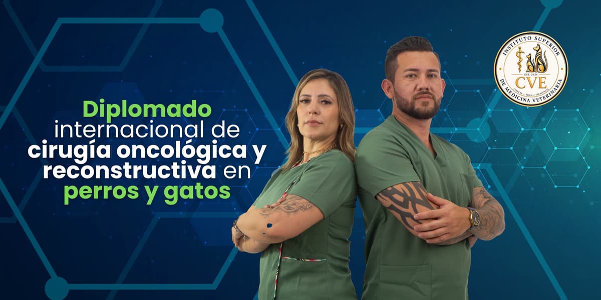 Cursos destacados