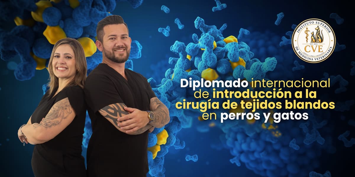 Cursos destacados