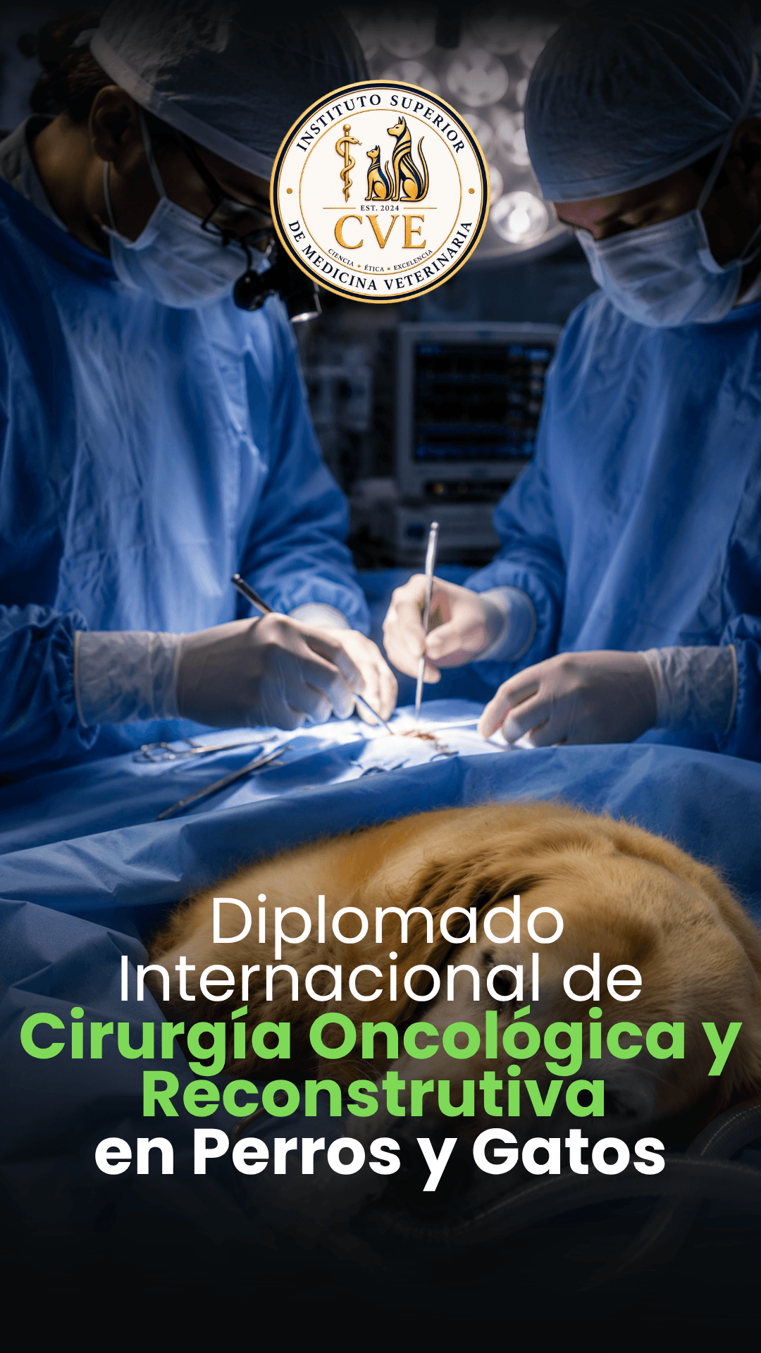 Diplomado Cirugía Oncológica Reconstructiva